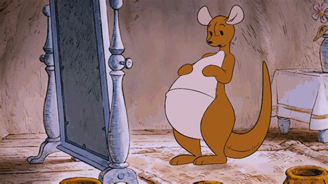 kanga winnie the pooh fat